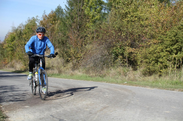 Puchar Widnica 2013