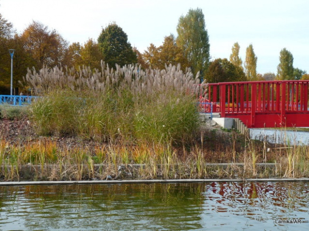 Park im. E. Szymańskiego