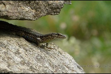 #MassinoVisconti #SanSalvador #Sanktuarium #Włochy