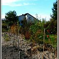 2013 #ogród