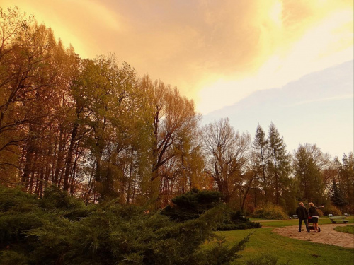 Park Centralny w Świdnicy - przed zachodem słońca #DolnyŚląsk #Świdnica #park #ParkCentralnyWŚwidnicy