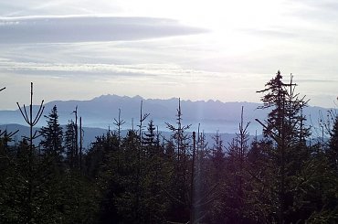 Tatry Wysokie z Gorca #góry #beskidy #gorce #bieniowe #gorc #przysłop