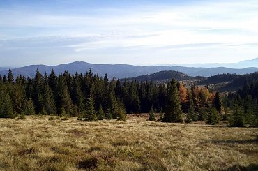 Pasmo Lubania i Hale Podgorcowe z polany Gorc Gorcowski #góry #beskidy #gorce #bieniowe #gorc #przysłop