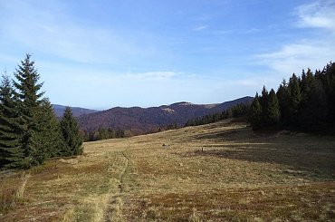 Polana Bieniowe #góry #beskidy #gorce #bieniowe #gorc #przysłop