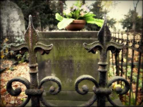 Detale jednego z ogrodzeń na zabytkowym cmentarzu ewangelickim przy Kościele Pokoju w Świdnicy, wpisanym na Listę Światowego Dziedzictwa Kultury UNESCO. Cmentarz funkcjonował w latach 1654-1957. #DolnyŚląsk #Świdnica #zabytki #cmentarz