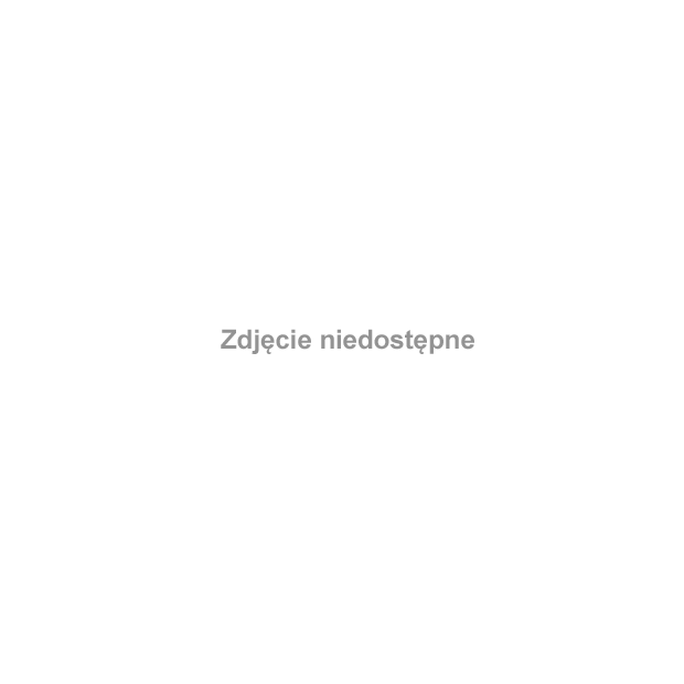 13 listopada klasa I LO odwiedziła Wyższą Szkołę Oficerską Sił Powietrznych w Dęblinie, a także Centrum Inżynieryjno-Lotnicze w Dęblinie. #Sobieszyn #Brzozowa