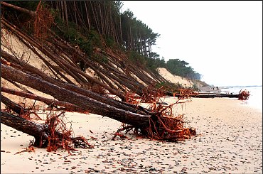 Och Ksawery ! #Dźwirzyno #HuraganKsawery #plaża