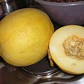 Melony z własnej uprawy - pierwszy plon :-)