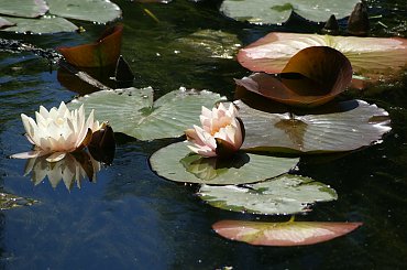 Tarnów #Tarnow #Tarnów