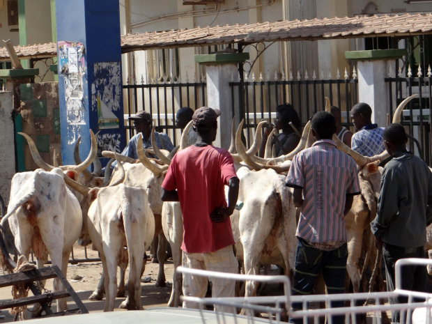 Gambia