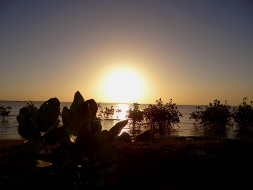 Senegal. Wschód słońca nad rzeką Senegal #Senegal