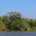 Senegal