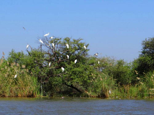 Senegal