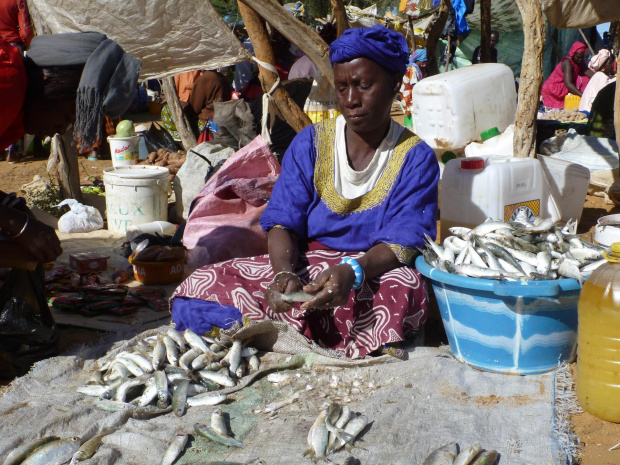 Senegal