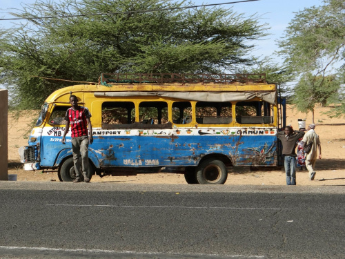 Senegal. Busik - sprawny! #Senegal