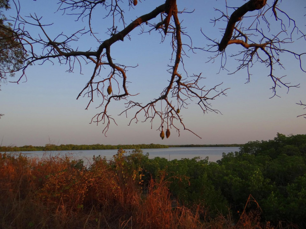 Senegal