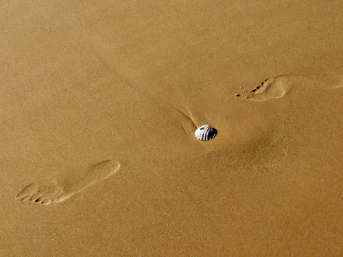 Senegal