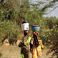 Senegal