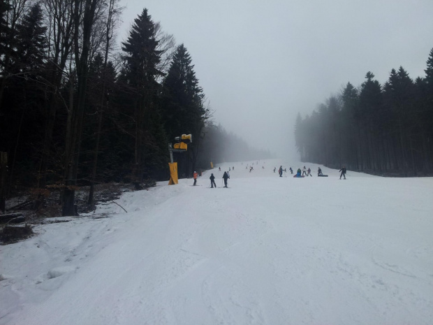 Kraliky, SkiPark Cervena Voda #kraliky #narty