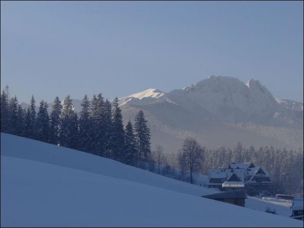 #góry #podróże #sznaucer #Zakopane #zima