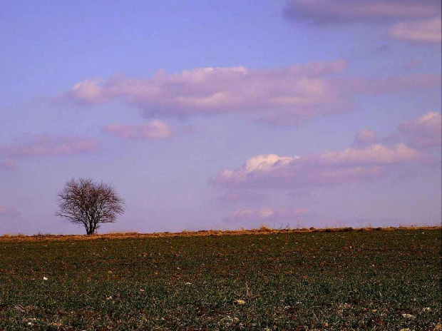 Samotne na Smutnej Górze w Chełmie Śląskim..