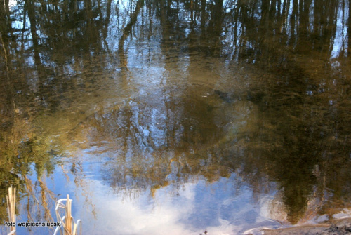 Park Połczyn Zdrój