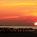 Zachód słońca oglądany z plaży od strony Podczela w kierunku Kołobrzegu #Kołobrzeg #PlażaWschodnia #ZachódSłońca