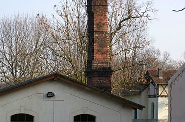 Pałac, Moszna, konie, inne, #inne #konie #Moszna