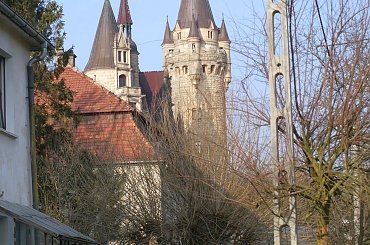 Pałac, Moszna, konie, inne, #inne #konie #Moszna