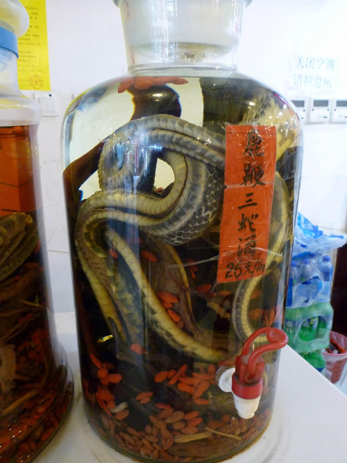 Wódka "wężówka". #Chiny