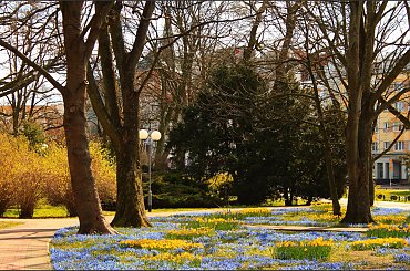 Wiosenny spacer #Kołobrzeg #Park18Marca #Wiosna