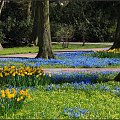 Wiosenny spacer #Kołobrzeg #Park18Marca #Wiosna