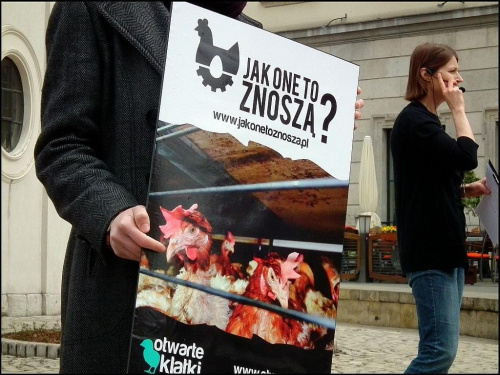 Kraków.Rynek Główny [12.04] Protest przeciwko klatkowej hodowli kur i sprzedaży tak pozyskiwanych jajek...