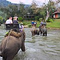 Z grzbietu słonia #azja #słoń #tajlandia