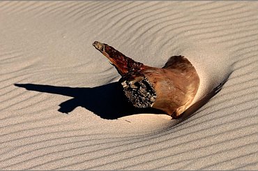 Zasypywanie #Kołobrzeg #plaża