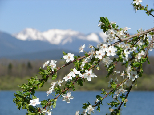Wiosna w Tatrach i na Podtatrzu