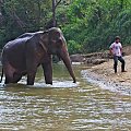 #azja #tajlandia #rzeka #tropik #dżungla
