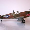 P-40M Kitty Hawk