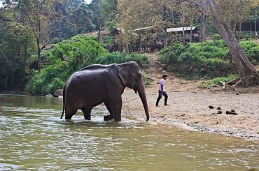 #azja #tajlandia #rzeka #tropik #dżungla