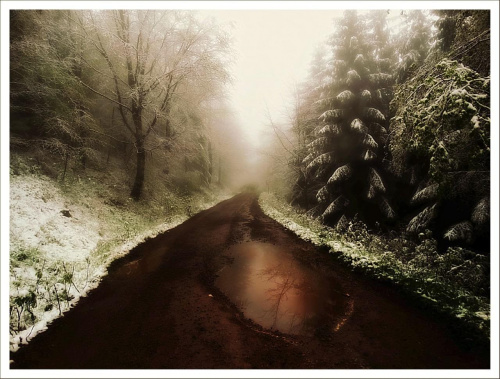 3 maja 2014 r. Góry Sowie w śniegu i gęstej mgle. Srebrna Droga (szlak fioletowy) z Przełęczy Walimskiej na Przełęcz Sokolą #DolnyŚląsk #góry #GórySowie #PrzełęczSokola #PrzełęczWalimska #SrebrnaDroga #Sudety #SzlakFioletowy #śnieg