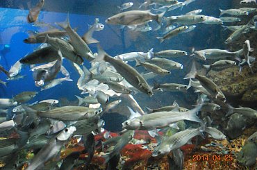 Boulogne - Francja #Berk #Boulogne #francja