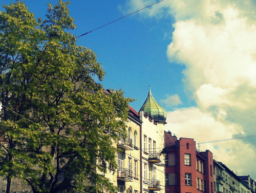 W Krakowie kwitną już akacje i widać już błękitne niebo