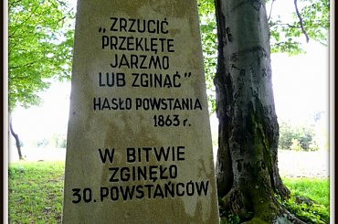 2014 #ogród
