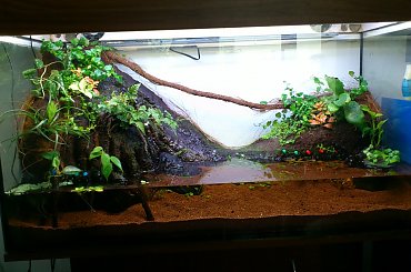 Nowe rośliny #PaludariumFotorelacja