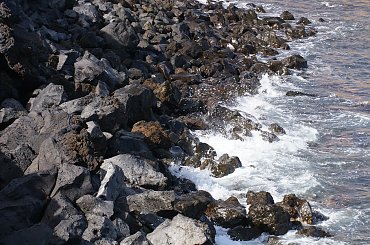 Wulkaniczna wyspa na Atlantyku, pełna kwiatów i zieleni. #Atlantic #Atlantyk #island #ocean #Teneriffe #Teneryfa #volcano #wulkan #wyspa