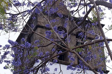 Wulkaniczna wyspa na Atlantyku, pełna kwiatów i zieleni. #Atlantic #Atlantyk #island #ocean #Teneriffe #Teneryfa #volcano #wulkan #wyspa