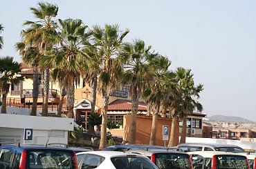 Wulkaniczna wyspa na Atlantyku, pełna kwiatów i zieleni. #Atlantic #Atlantyk #island #ocean #Teneriffe #Teneryfa #volcano #wulkan #wyspa