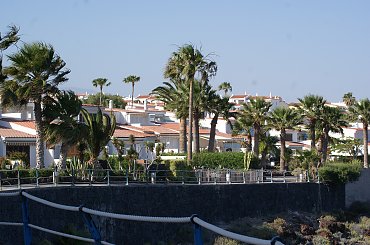 Wulkaniczna wyspa na Atlantyku, pełna kwiatów i zieleni. #Atlantic #Atlantyk #island #ocean #Teneriffe #Teneryfa #volcano #wulkan #wyspa