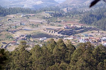Wulkaniczna wyspa na Atlantyku, pełna kwiatów i zieleni. #Atlantic #Atlantyk #island #ocean #Teneriffe #Teneryfa #volcano #wulkan #wyspa