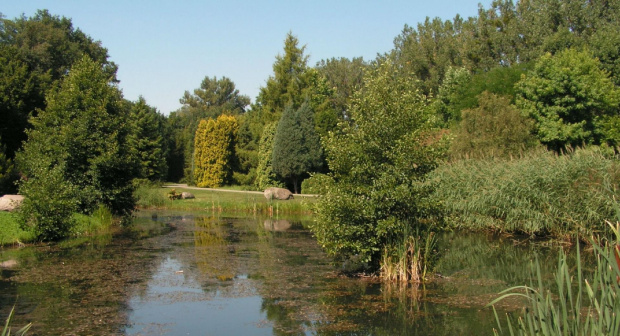 Ogród Botaniczny